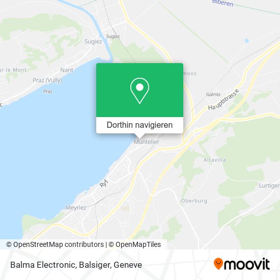 Balma Electronic, Balsiger Karte