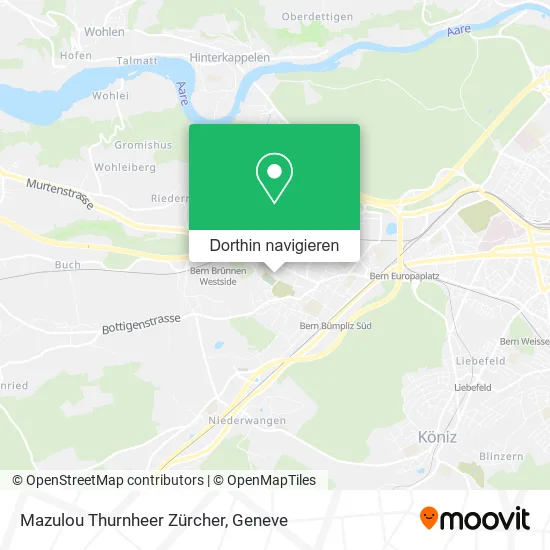 Mazulou Thurnheer Zürcher Karte