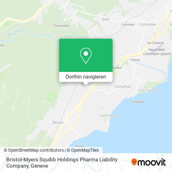 Bristol-Myers Squibb Holdings Pharma Liability Company Karte