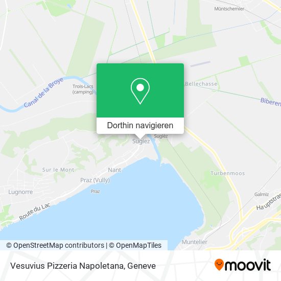 Vesuvius Pizzeria Napoletana Karte