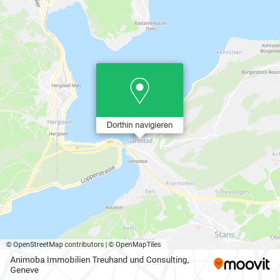 Animoba Immobilien Treuhand und Consulting Karte