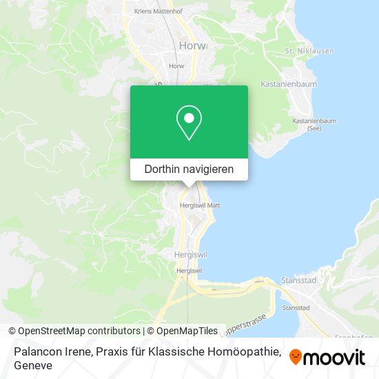 Palancon Irene, Praxis für Klassische Homöopathie Karte