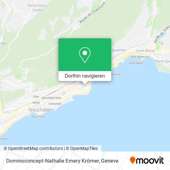 Dominoconcept-Nathalie Emery Krömer Karte
