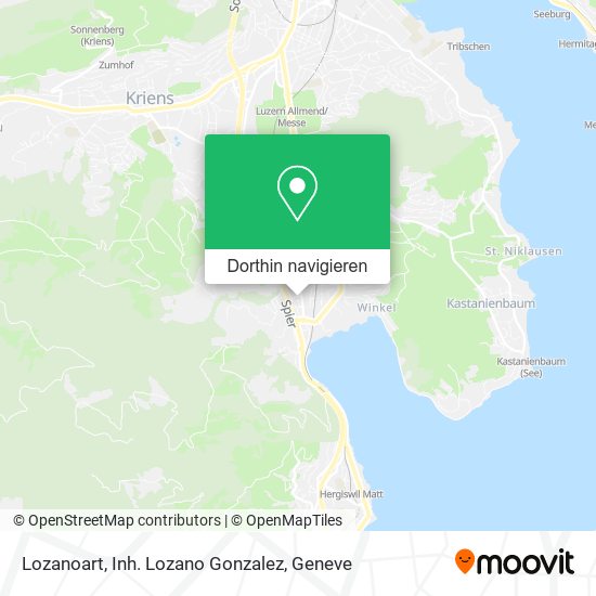 Lozanoart, Inh. Lozano Gonzalez Karte