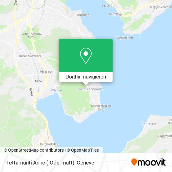 Tettamanti Anne (-Odermatt) Karte