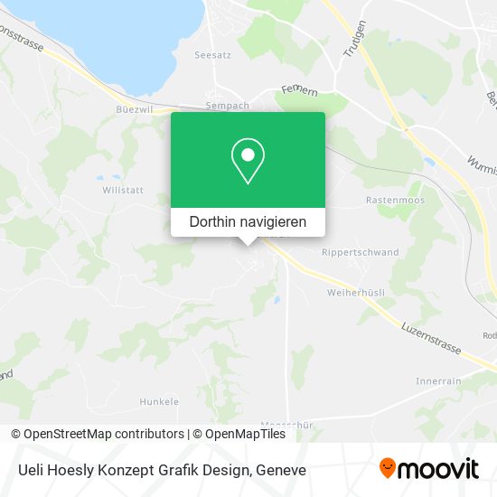 Ueli Hoesly Konzept Grafik Design Karte