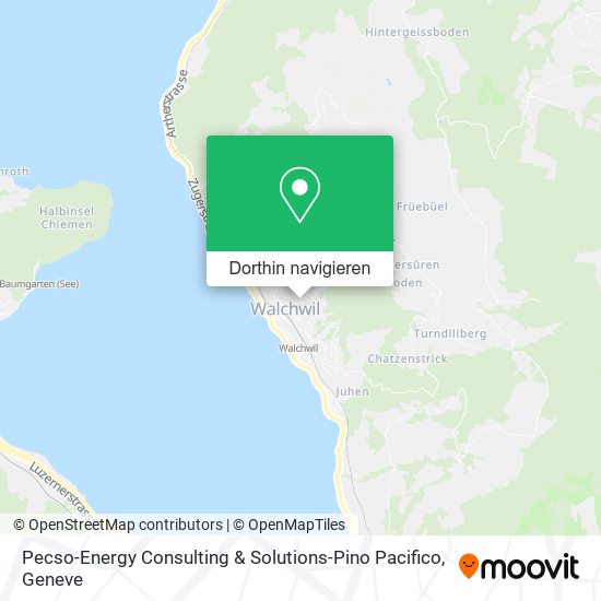 Pecso-Energy Consulting & Solutions-Pino Pacifico Karte