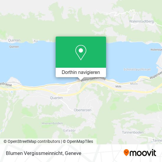 Blumen Vergissmeinnicht Karte