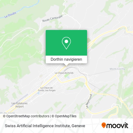 Swiss Artificial Intelligence Institute Karte