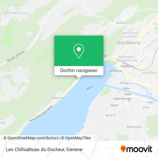 Les Chihuahuas du Docteur Karte