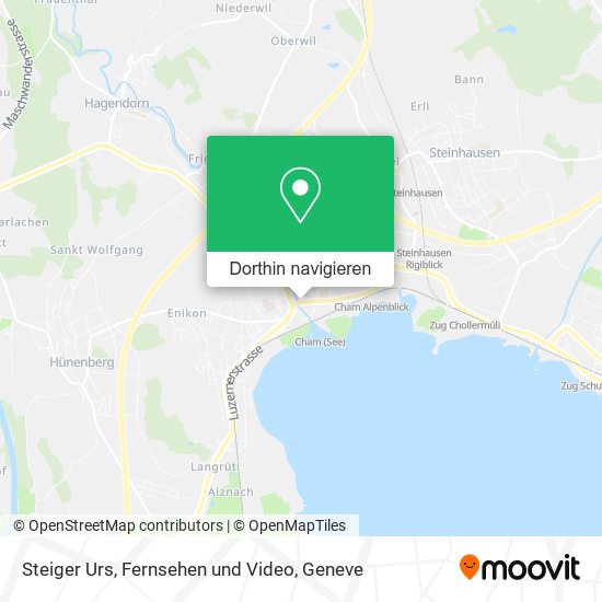 Steiger Urs, Fernsehen und Video Karte
