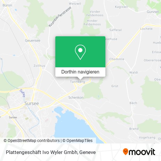 Plattengeschäft Ivo Wyler Gmbh Karte