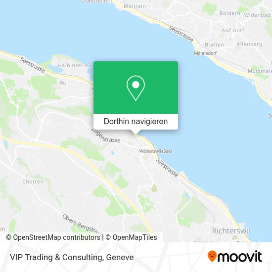 VIP Trading & Consulting Karte