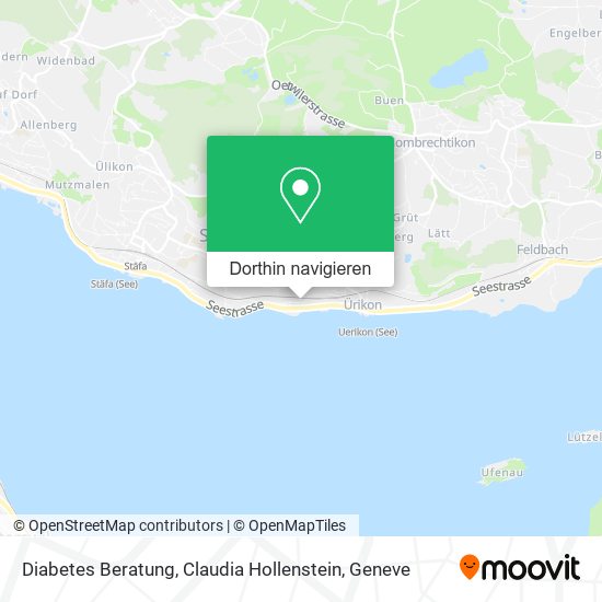 Diabetes Beratung, Claudia Hollenstein Karte