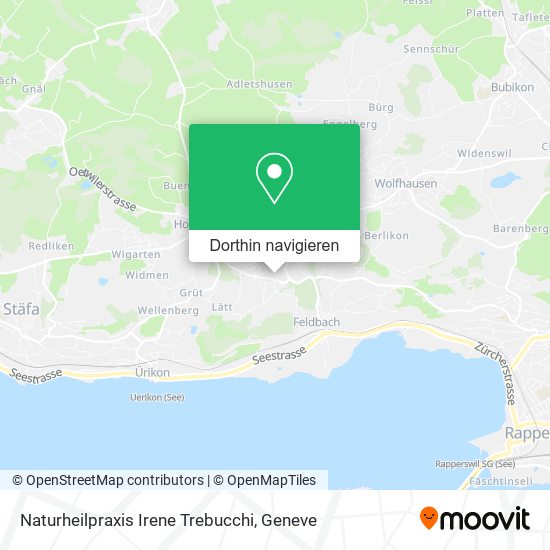 Naturheilpraxis Irene Trebucchi Karte