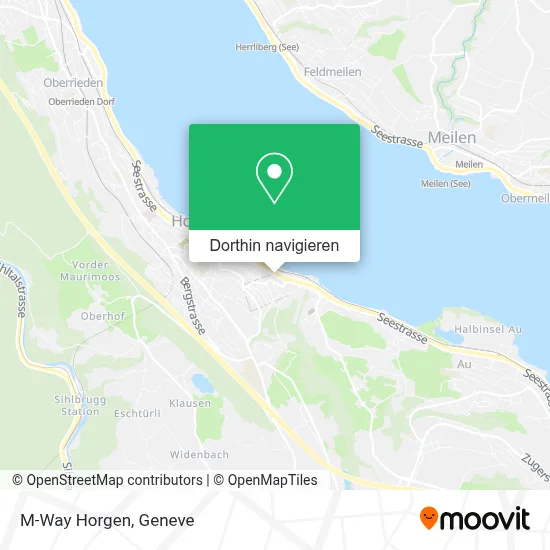 M-Way Horgen Karte