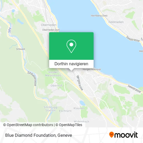 Blue Diamond Foundation Karte