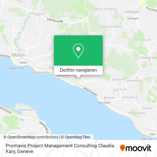 Promavis Project Management Consulting Claudia Kary Karte