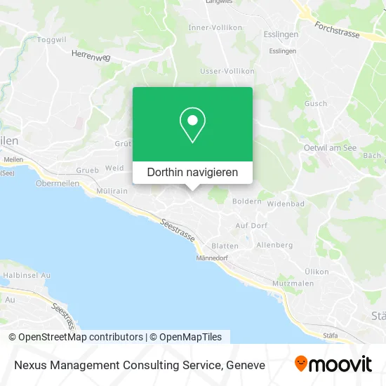 Nexus Management Consulting Service Karte