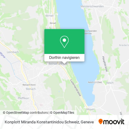 Konplott Miranda Konstantinidou Schweiz Karte