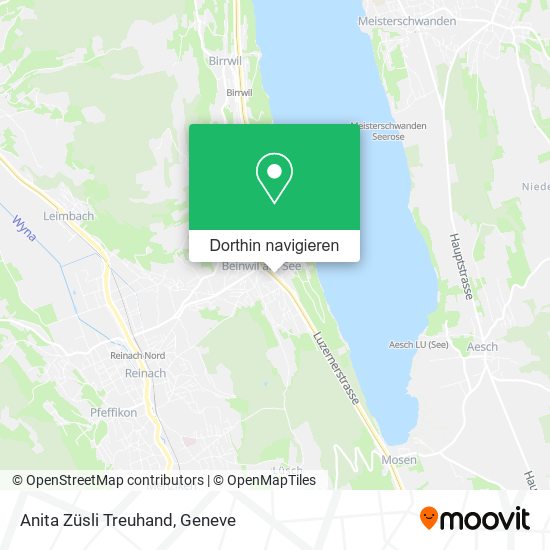 Anita Züsli Treuhand Karte