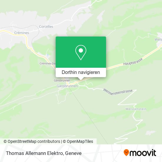 Thomas Allemann Elektro Karte