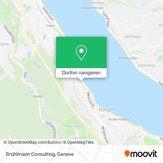 Brühlmann Consulting Karte