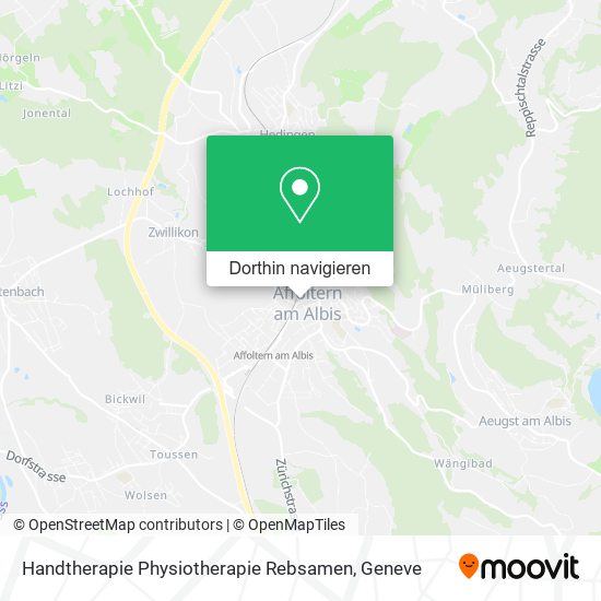 Handtherapie Physiotherapie Rebsamen Karte