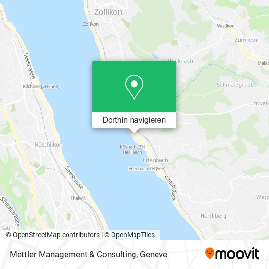 Mettler Management & Consulting Karte
