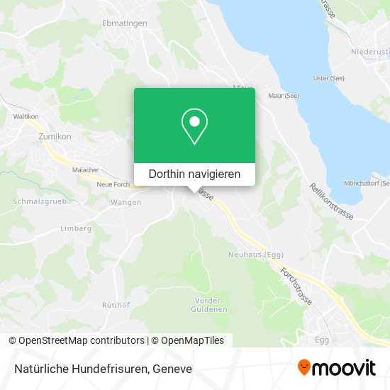Natürliche Hundefrisuren Karte