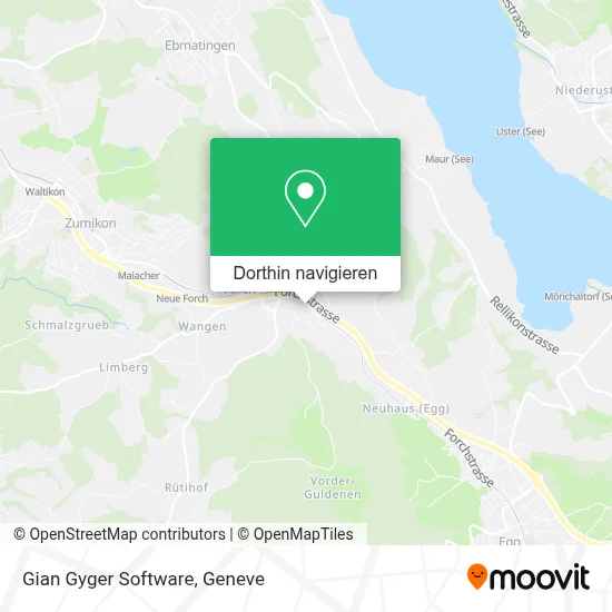 Gian Gyger Software Karte