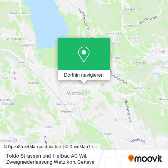 Toldo Strassen-und Tiefbau AG Wil, Zweigniederlassung Wetzikon Karte