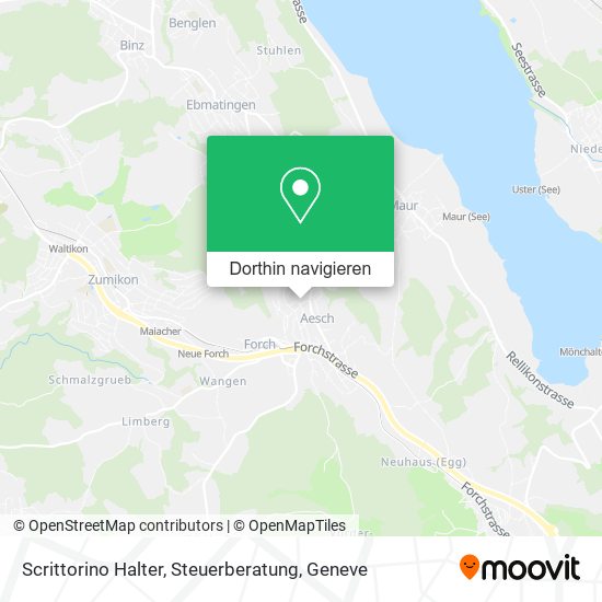 Scrittorino Halter, Steuerberatung Karte