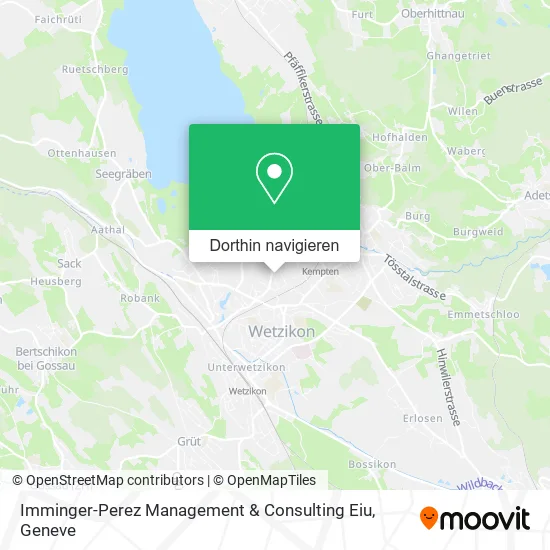 Imminger-Perez Management & Consulting Eiu Karte