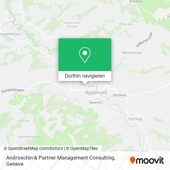 Androschin & Partner Management Consulting Karte