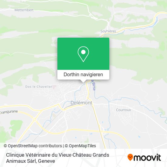 Clinique Vétérinaire du Vieux-Château Grands Animaux Sàrl Karte