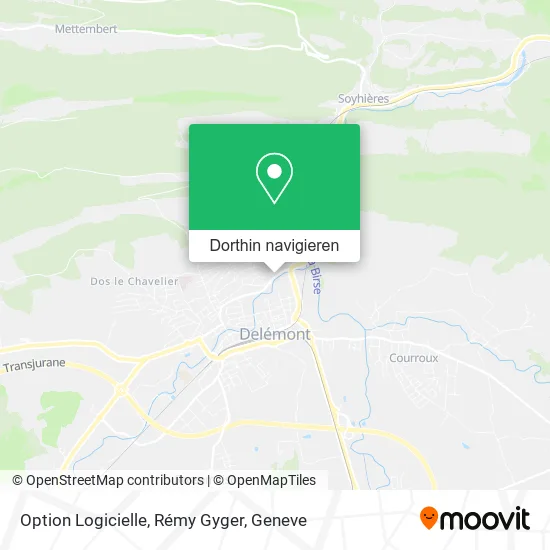 Option Logicielle, Rémy Gyger Karte