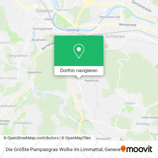 Die Größte Pampasgras Wolke im Limmattal Karte
