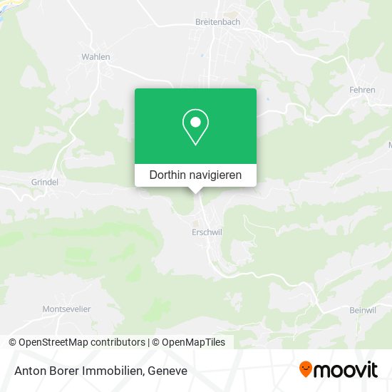 Anton Borer Immobilien Karte