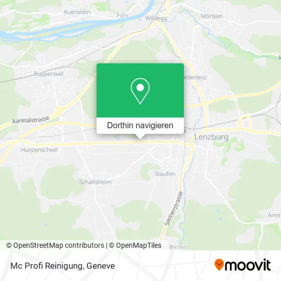 Mc Profi Reinigung Karte