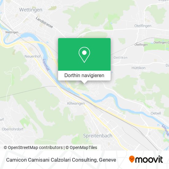 Camicon Camisani Calzolari Consulting Karte