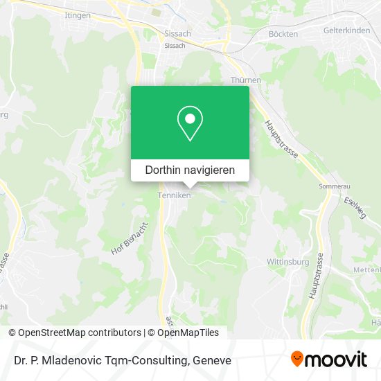 Dr. P. Mladenovic Tqm-Consulting Karte