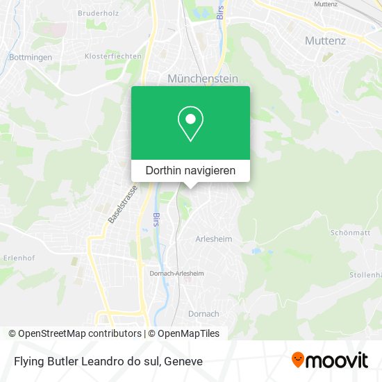 Flying Butler Leandro do sul Karte