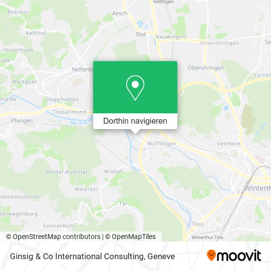 Ginsig & Co International Consulting Karte