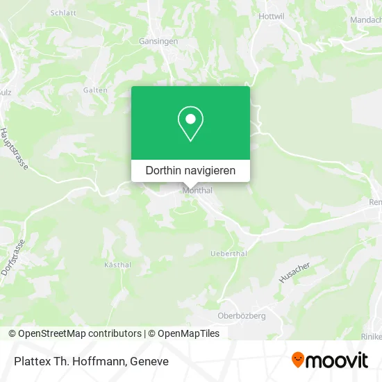 Plattex Th. Hoffmann Karte