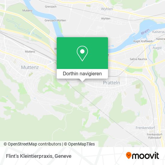 Flint's Kleintierpraxis Karte