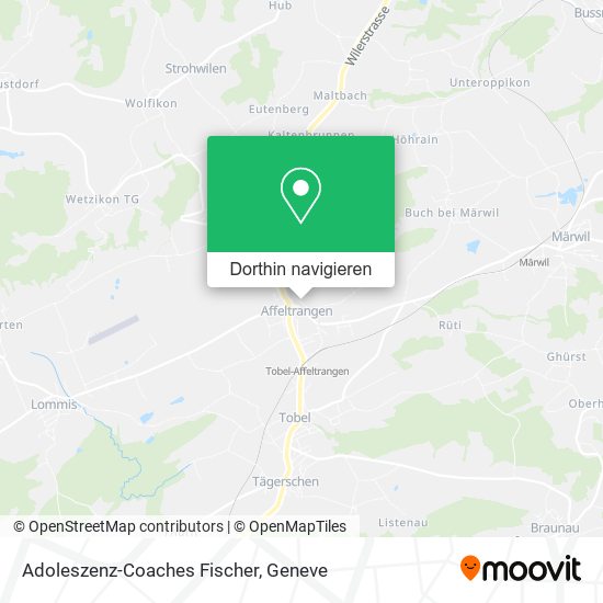 Adoleszenz-Coaches Fischer Karte