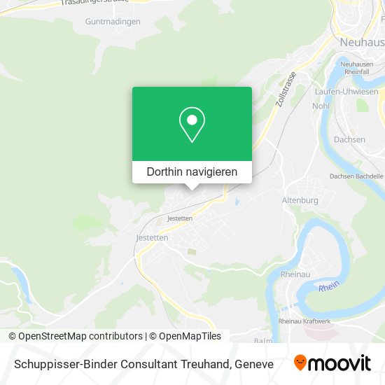 Schuppisser-Binder Consultant Treuhand Karte