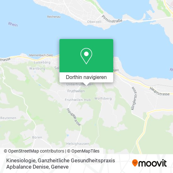Kinesiologie, Ganzheitliche Gesundheitspraxis Apbalance Denise Karte