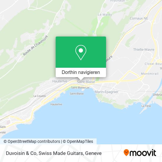 Duvoisin & Co, Swiss Made Guitars Karte